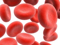 Anemia Red Blood Cells